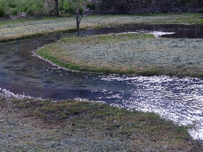 Water marsh shore river Photo