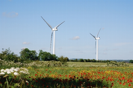 Field meadow prairie windmill Photo