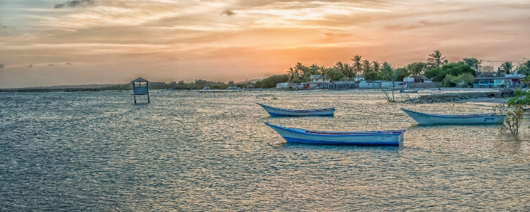 Beach sea coast water Photo