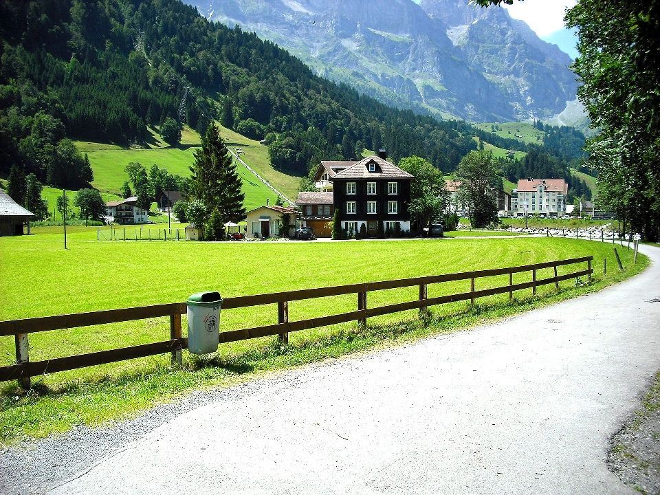 Paisaje césped montaña valle