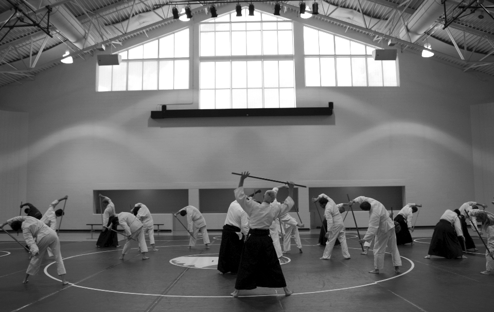 Noir et blanc
 blanc entraînement