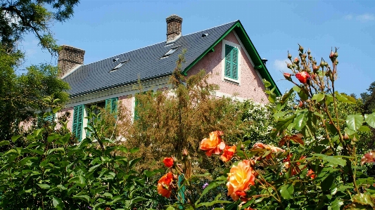 Farm flower roof home Photo