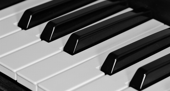 Music black and white keyboard technology Photo