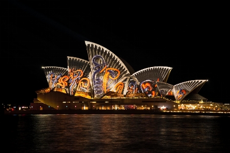 Night sydney opera house light show Photo