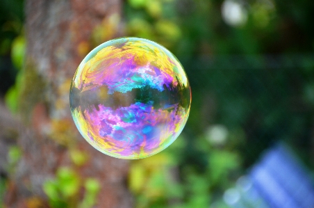 Nature grass branch drop Photo