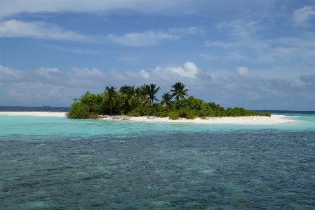 Beach sea coast ocean Photo