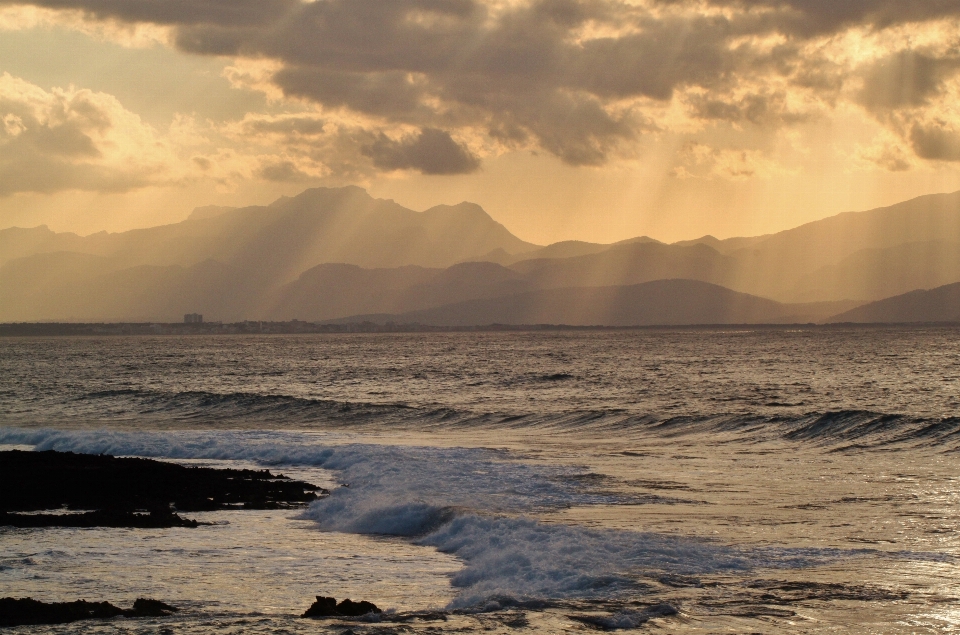 Beach sea coast nature