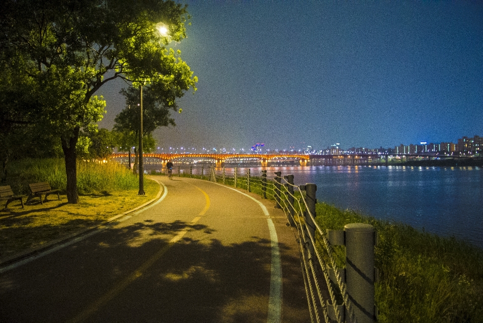 Landscape tree horizon light