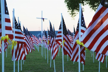 White red flag usa Photo