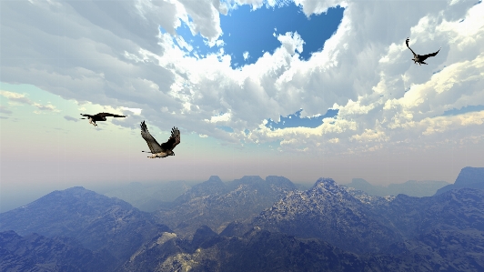 山 鳥 クラウド 空 写真