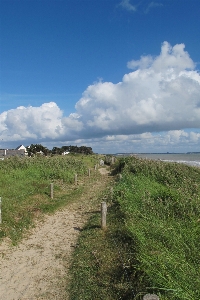 Foto Paesaggio mare costa erba