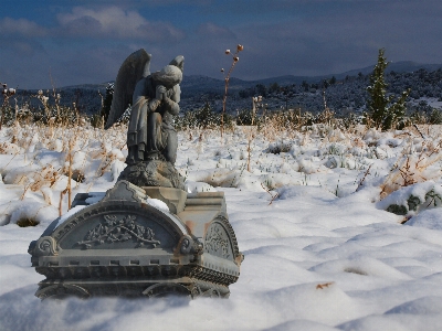 Photo Neige hiver aile en volant