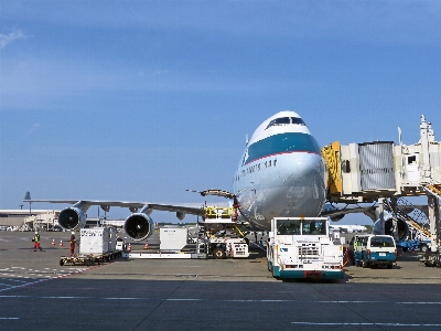 Fliege flughafen reisen flugzeug Foto