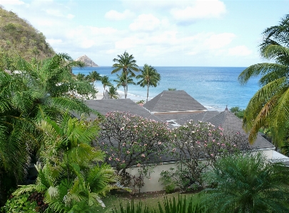 Beach landscape sea coast Photo