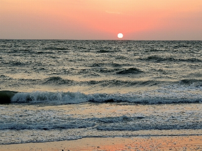 Beach sea coast nature Photo