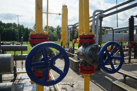 Wheel asphalt transport vehicle Photo