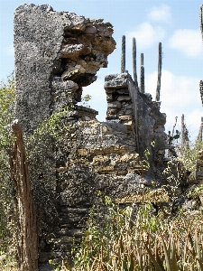 Zdjęcie Krajobraz natura rock pustynia
