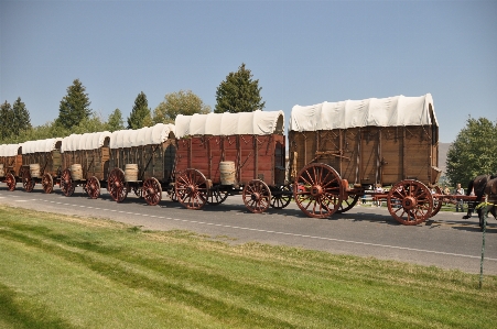 Train transport vehicle locomotive Photo