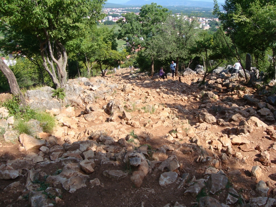 Baum weg berg straße