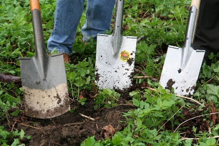 Work lawn flower tool Photo