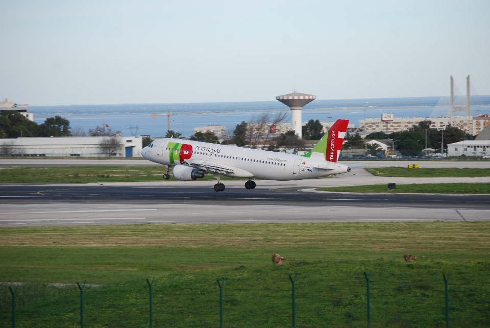 Aéroport avion véhicule compagnie aérienne