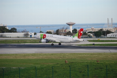 Airport airplane plane aircraft Photo