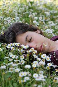 Nature grass person plant Photo