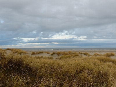 Beach landscape sea coast Photo