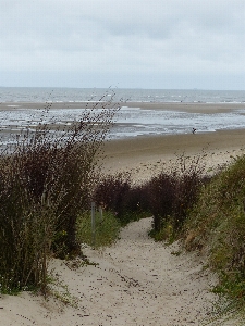 Strand meer küste wasser Foto