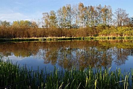 Landscape tree water nature Photo