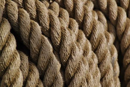 Dew rope technology pattern Photo