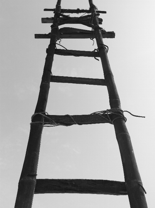 En blanco y negro
 cielo madera viejo