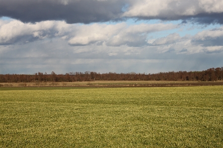 Landscape nature grass horizon Photo