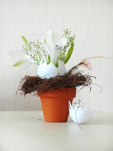 Plant white flower vase Photo