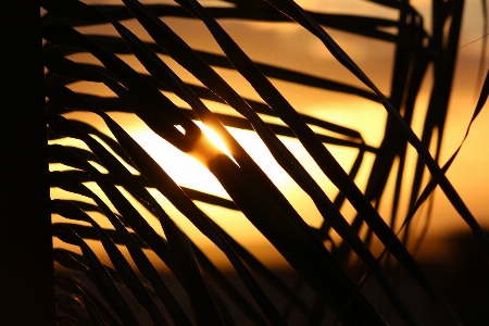 Photo Bifurquer lumière coucher de soleil nuit