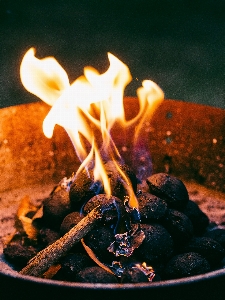 Foto Foglia fiore fiamma fuoco