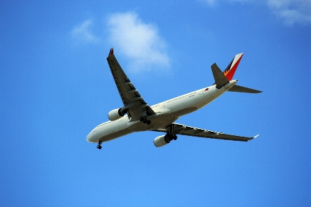 Wing sky fly airplane Photo