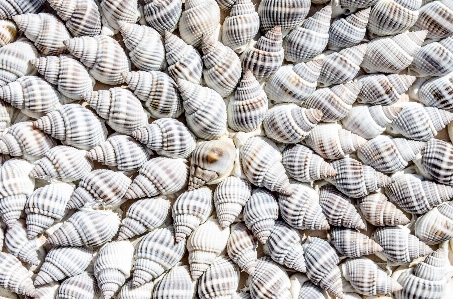 Beach coast abstract group Photo