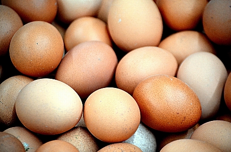 Food fresh egg close up Photo