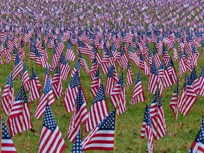 People flower crowd usa Photo