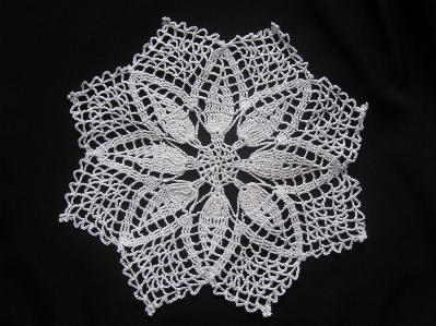 Pattern lace material surface Photo