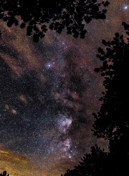 Silhueta céu noite estrela