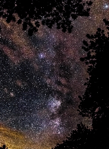 Foto Silhueta céu noite estrela