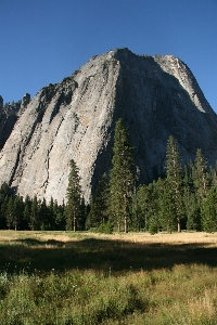 Landscape tree nature outdoor Photo