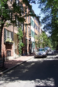 Tree architecture structure road Photo