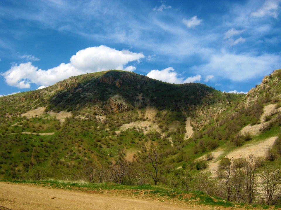 Krajobraz natura trawa na wolnym powietrzu