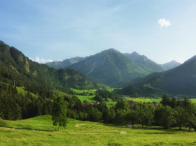 風景 自然 森 山 写真