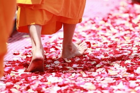 Man walking play flower Photo