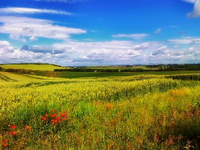 Landscape nature grass horizon Photo