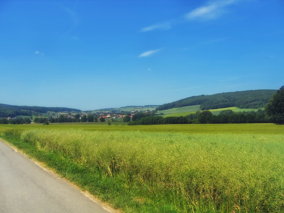 Landscape nature grass horizon